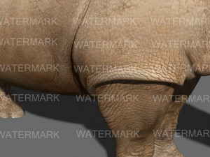 the ultimate rhino 3D Model