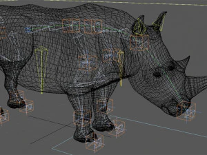 il rinoceronte definitivo Modello 3D