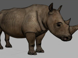 il rinoceronte definitivo Modello 3D