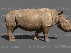 the ultimate rhino 3D Model