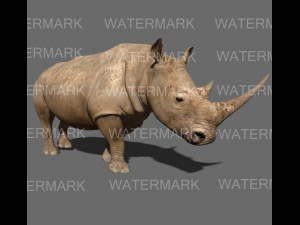 the ultimate rhino 3D Model