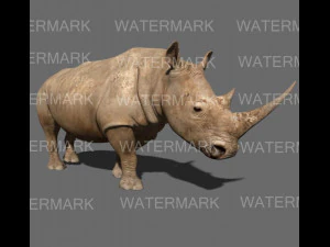 il rinoceronte definitivo Modello 3D