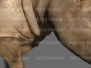 the ultimate rhino 3D Model