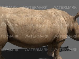 the ultimate rhino 3D Model