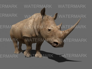 the ultimate rhino 3D Model
