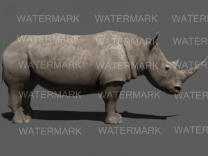 the ultimate rhino 3D Model