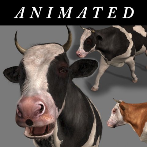 top cow 3D Model .c4d .max .obj .3ds .fbx .stl .blend 