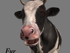 top cow 3D Model