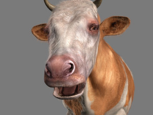 top cow 3D Model
