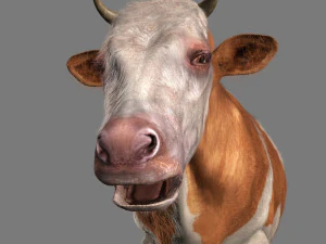 Spitzenkuh 3D Modell