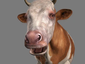 Spitzenkuh 3D Modell
