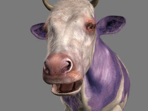 top cow 3D Model