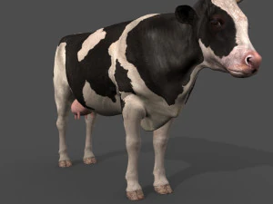 Spitzenkuh 3D Modell