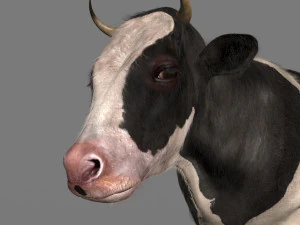 Spitzenkuh 3D Modell