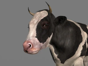 Spitzenkuh 3D Modell