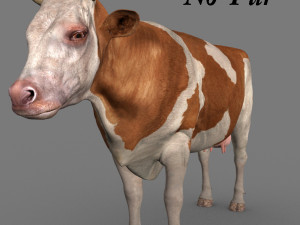 top cow 3D Model