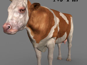 Spitzenkuh 3D Modell