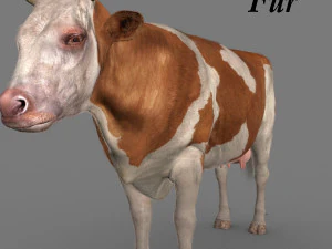 Spitzenkuh 3D Modell