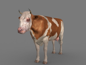 top cow 3D Model