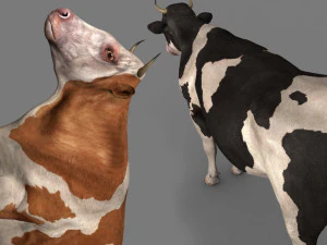 Spitzenkuh 3D Modell