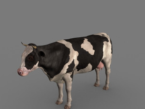 top cow 3D Model