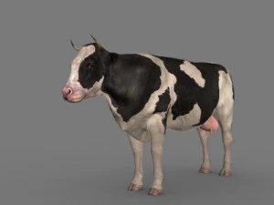 Spitzenkuh 3D Modell