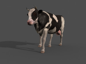 top cow 3D Model