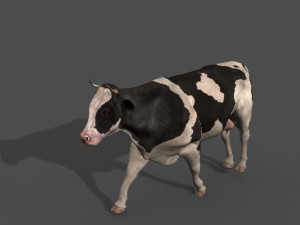 top cow 3D Model