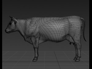 top cow 3D Model