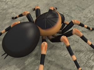 animated tarantula 3D-Modell