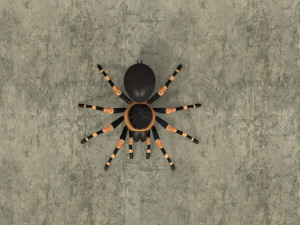 animated tarantula 3D-Modell