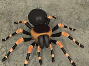 animated tarantula 3D-Modell