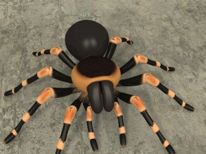 animated tarantula 3D Model