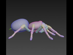 animated tarantula 3D-Modell