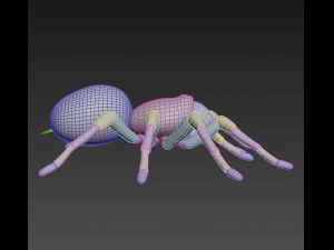 animated tarantula 3D Model