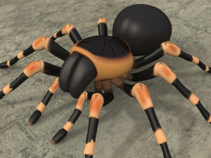 animated tarantula 3D-Modell