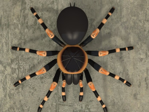 animated tarantula 3D-Modell