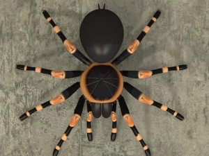 animated tarantula 3D Model