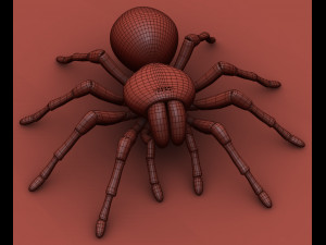 animated tarantula 3D-Modell