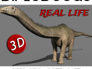 real life diplodocus dinosaur - animated 3D Model