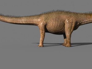 real life diplodocus dinosaur - animated 3D 모델