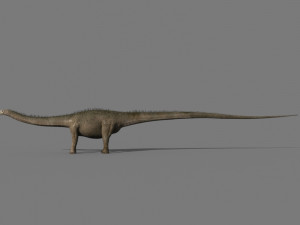 real life diplodocus dinosaur - animated 3D 모델