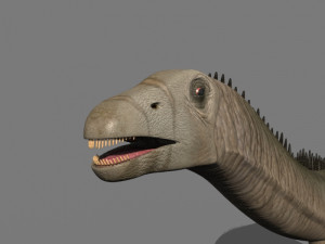 real life diplodocus dinosaur - animated 3D 모델