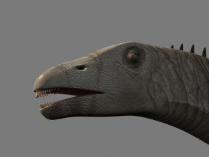 real life diplodocus dinosaur - animated 3D 모델