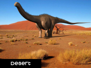 real life diplodocus dinosaur - animated 3D 모델