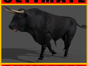 परम बैल 3D मॉडल