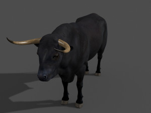 ultimate bull 3D-Modell