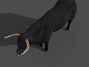 परम बैल 3D मॉडल