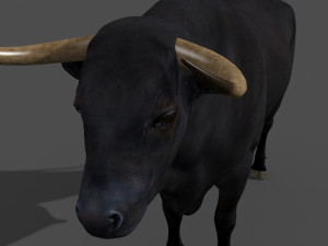 ultimate bull 3D-Modell