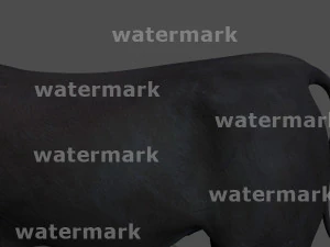 परम बैल 3D मॉडल